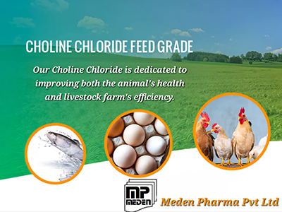 Choline Chloride for Feed Industry 1 Choline Chloride for Feed Industry