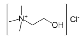 Choline Chloride as per IP Complies 2 1 2